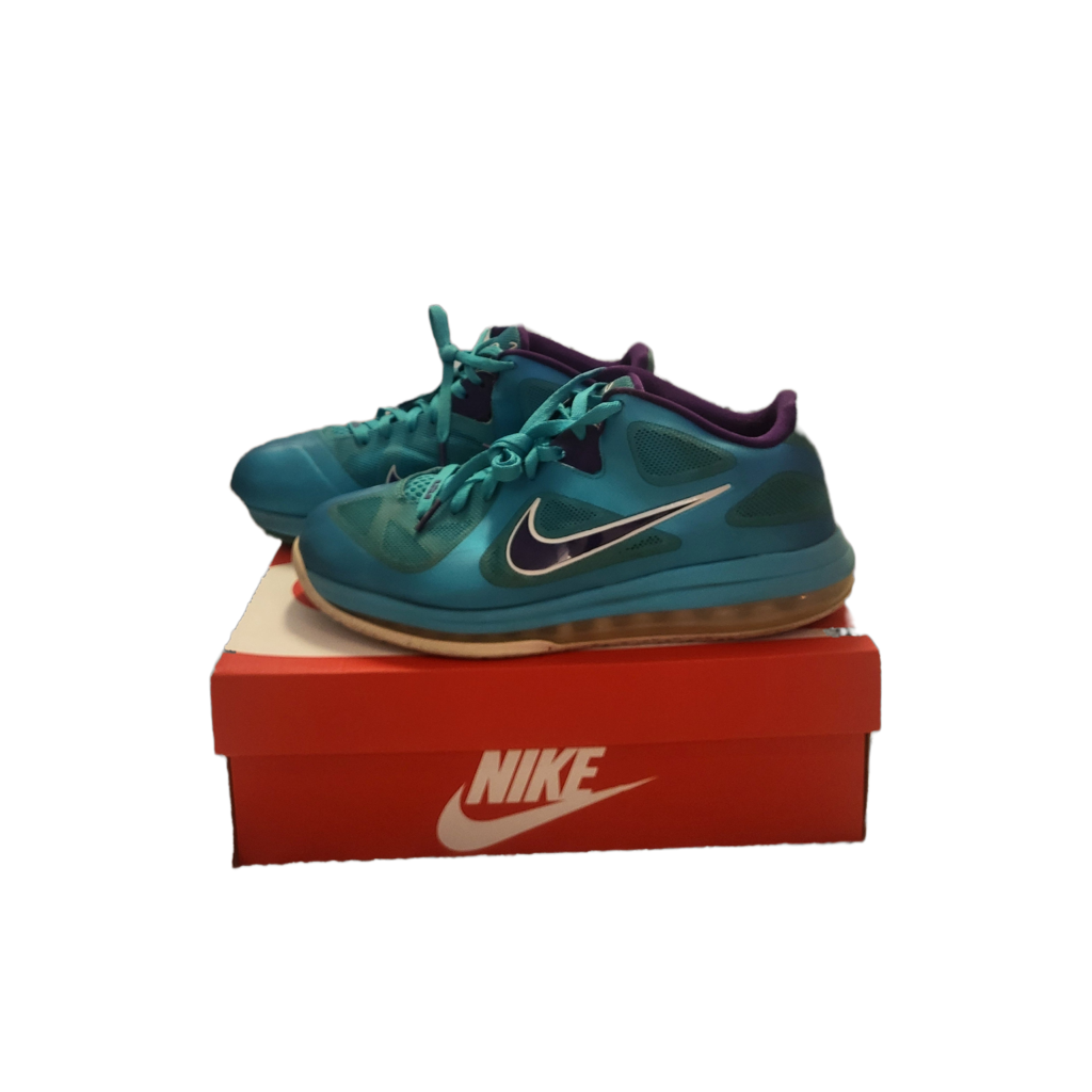 Nike Lebron 9  SE "Low Summit Lake"