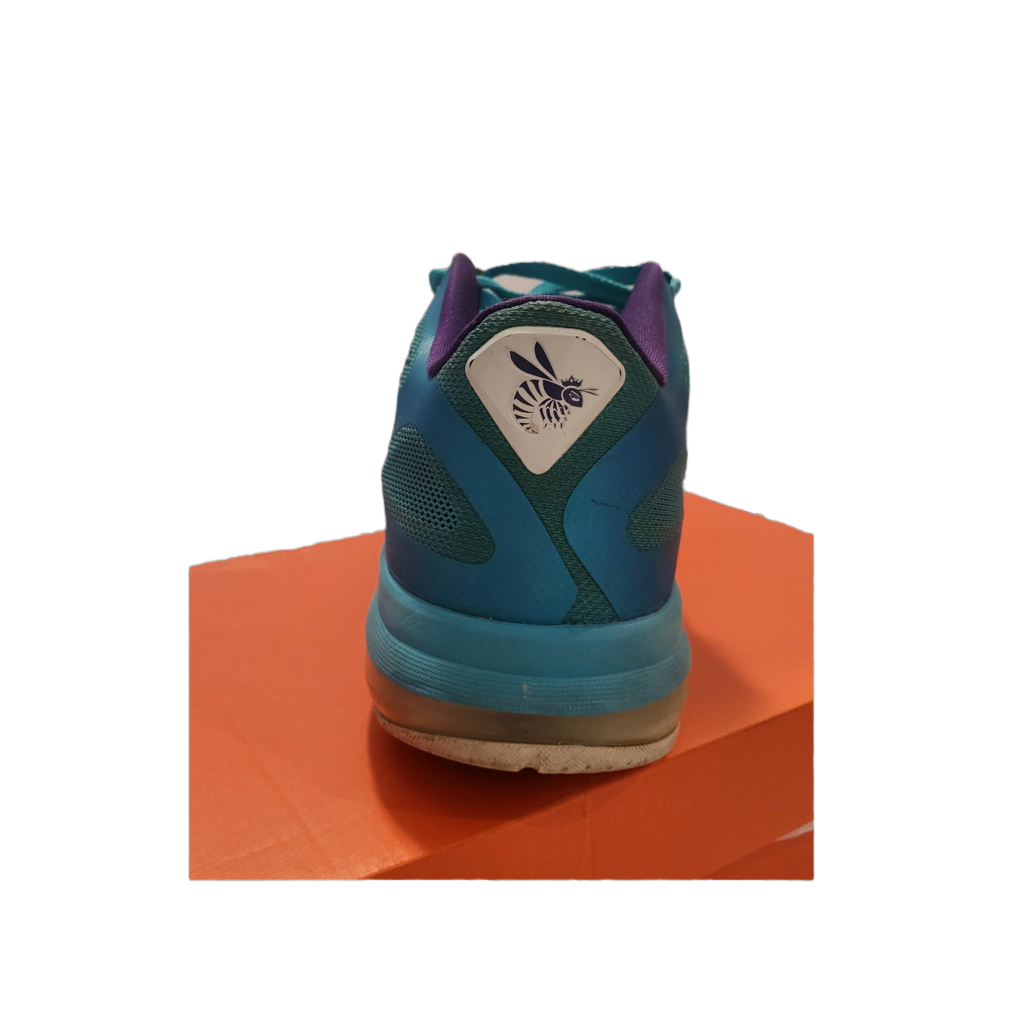 Nike Lebron 9  SE "Low Summit Lake"