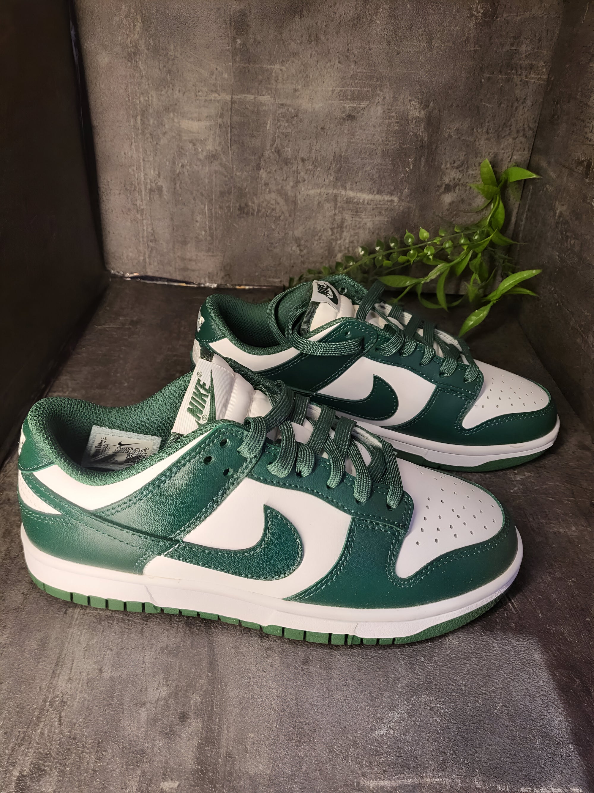 Nike Dunk Low Michigan State (GS)