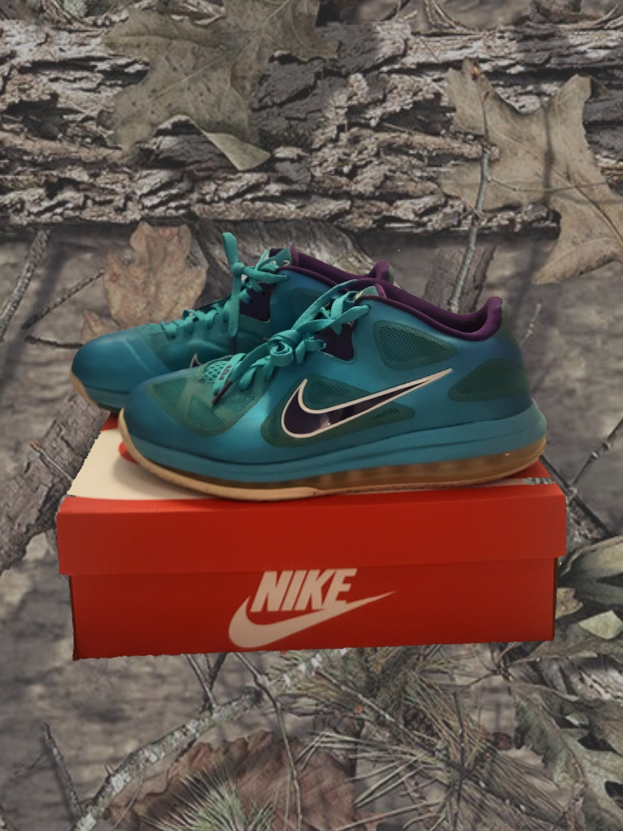 Nike Lebron 9  SE "Low Summit Lake"